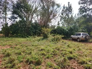 14 Acres in Kikyusa Luwero District at Only 10m Per Acre.