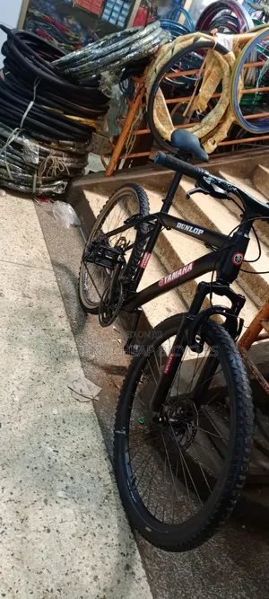 Adultt Bikeee 90