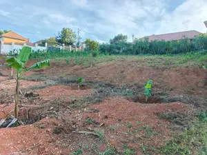 Land for Sale – Seeta Bajjo Executive Estate