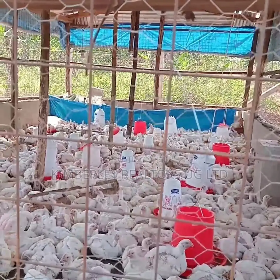 Poultry Farm Land for Sale