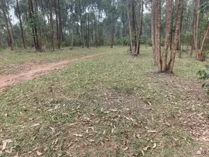 240acres of Land on Sale Located in Kyenjojo- Rweitengye