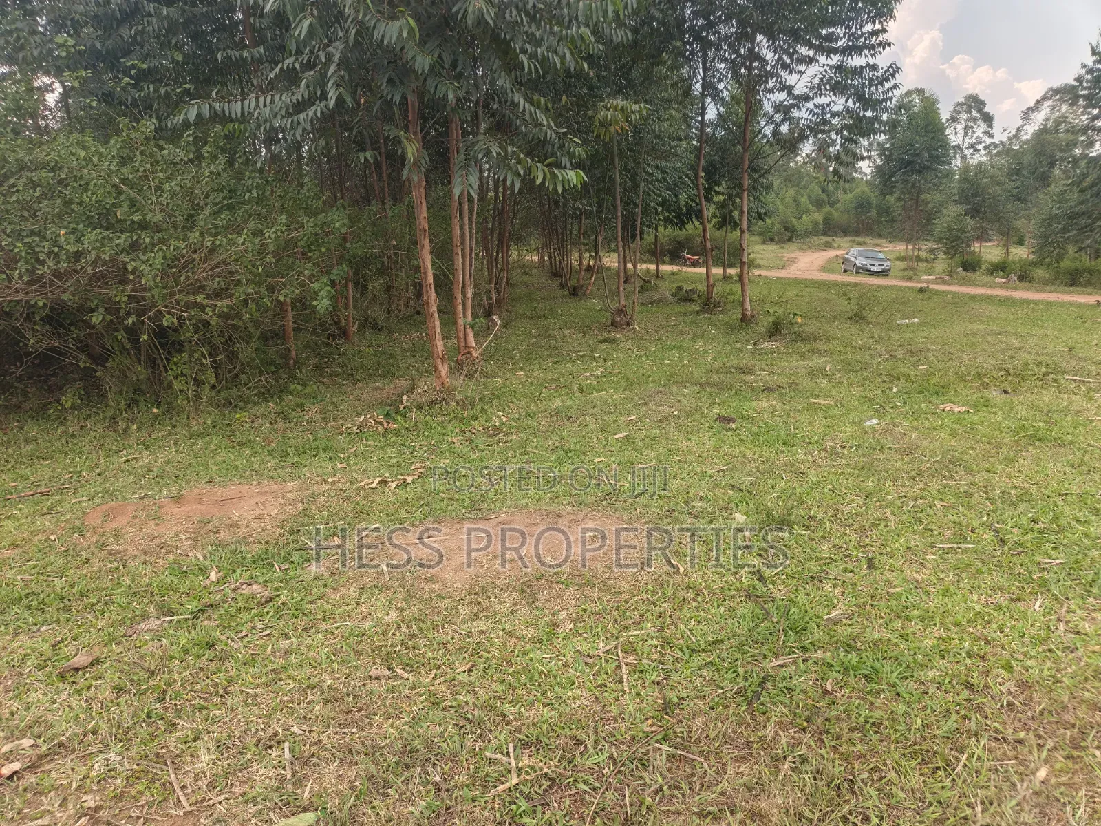 240acres of Land on Sale Located in Kyenjojo- Rweitengye