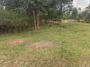 240acres of Land on Sale Located in Kyenjojo- Rweitengye