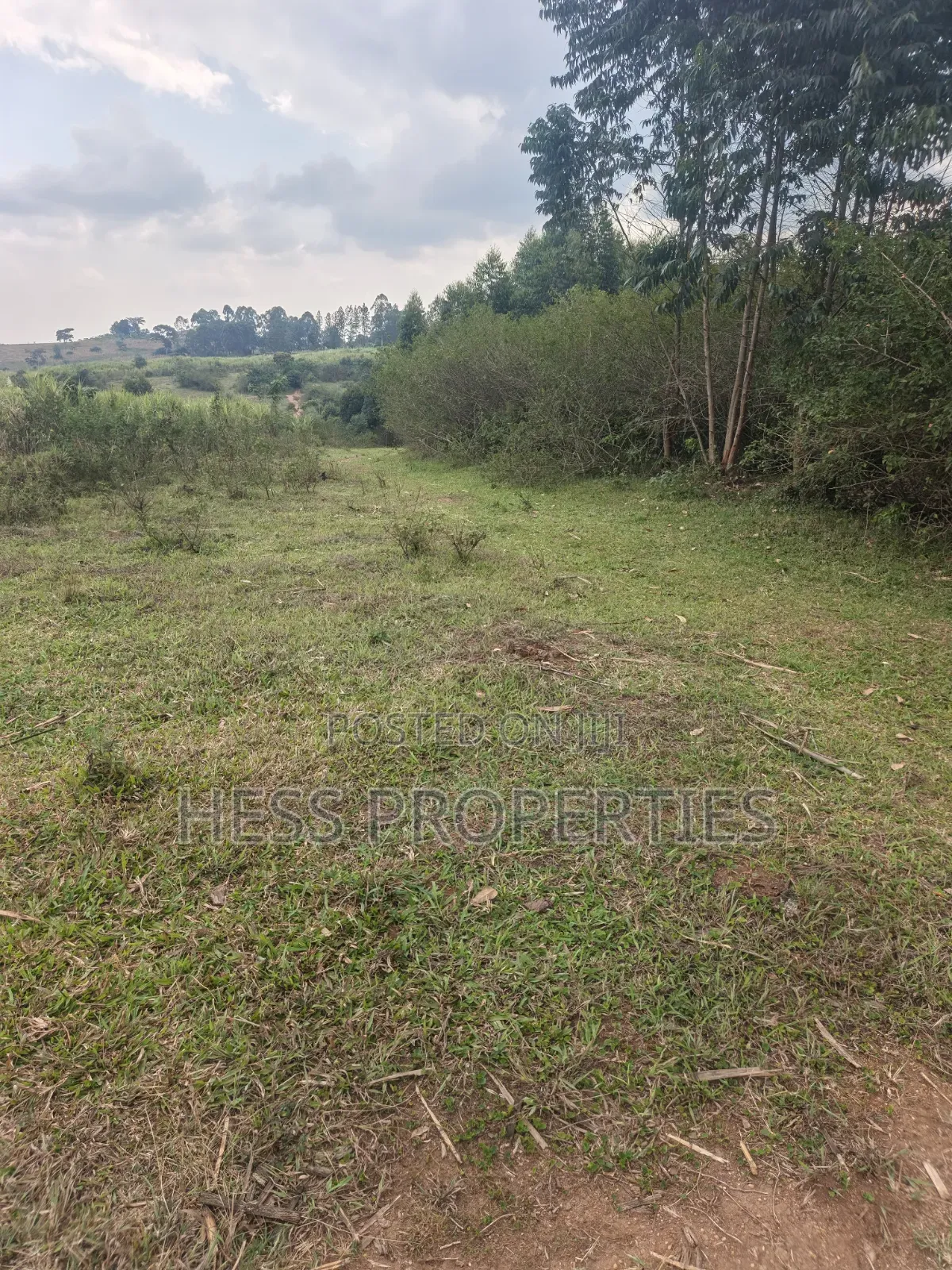 240acres of Land on Sale Located in Kyenjojo- Rweitengye