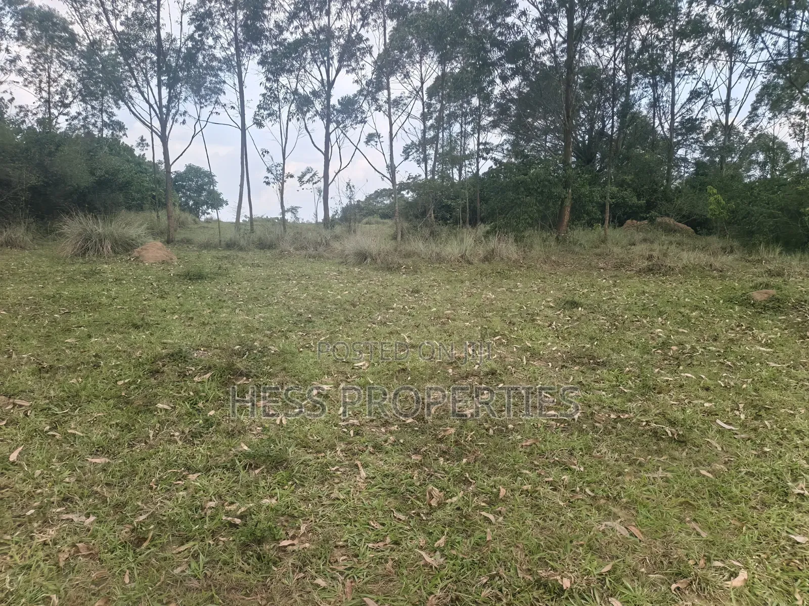 240acres of Land on Sale Located in Kyenjojo- Rweitengye