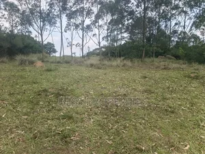 240acres of Land on Sale Located in Kyenjojo- Rweitengye