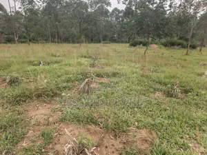 240acres of Land on Sale Located in Kyenjojo- Rweitengye