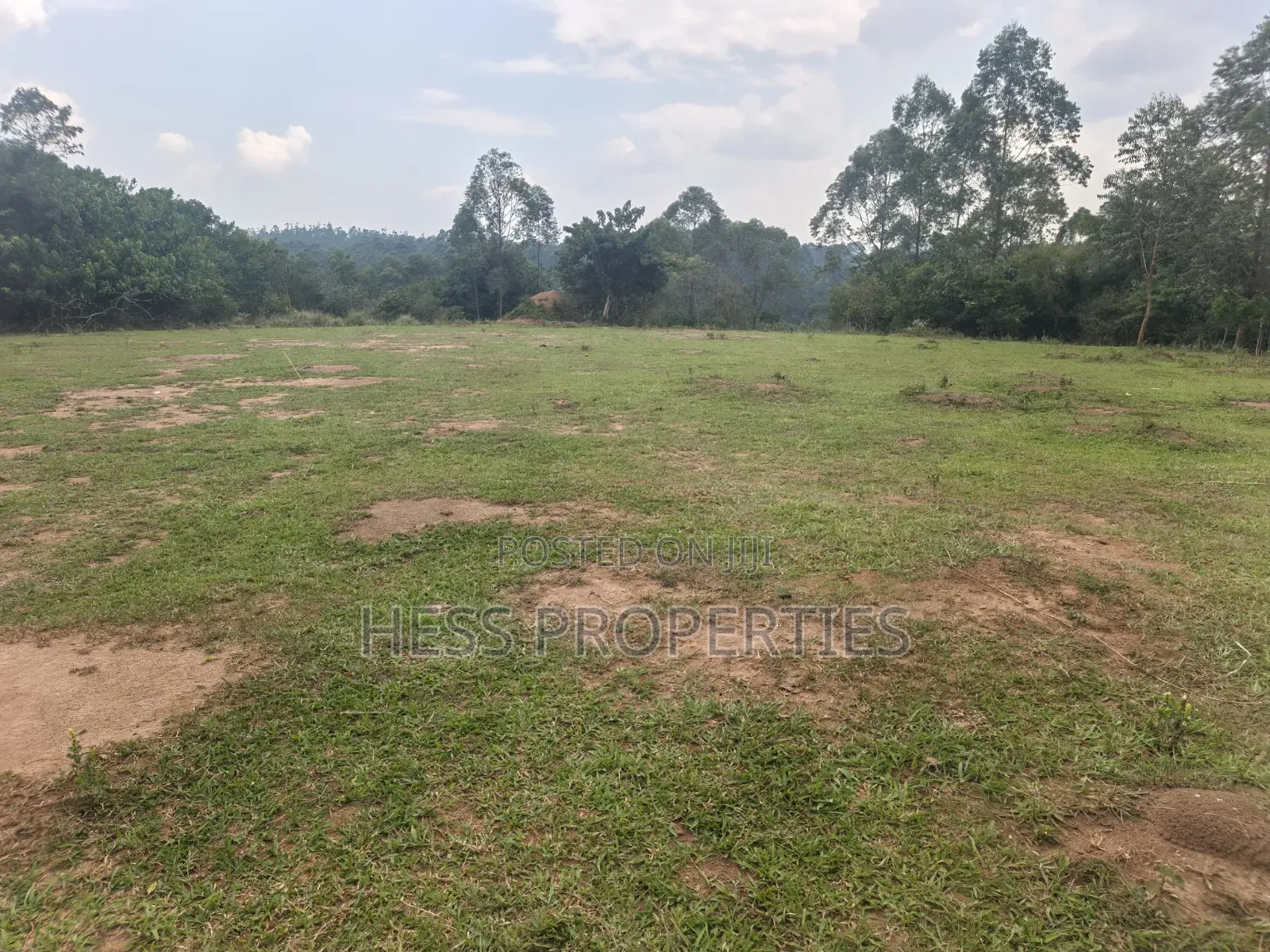 240acres of Land on Sale Located in Kyenjojo- Rweitengye