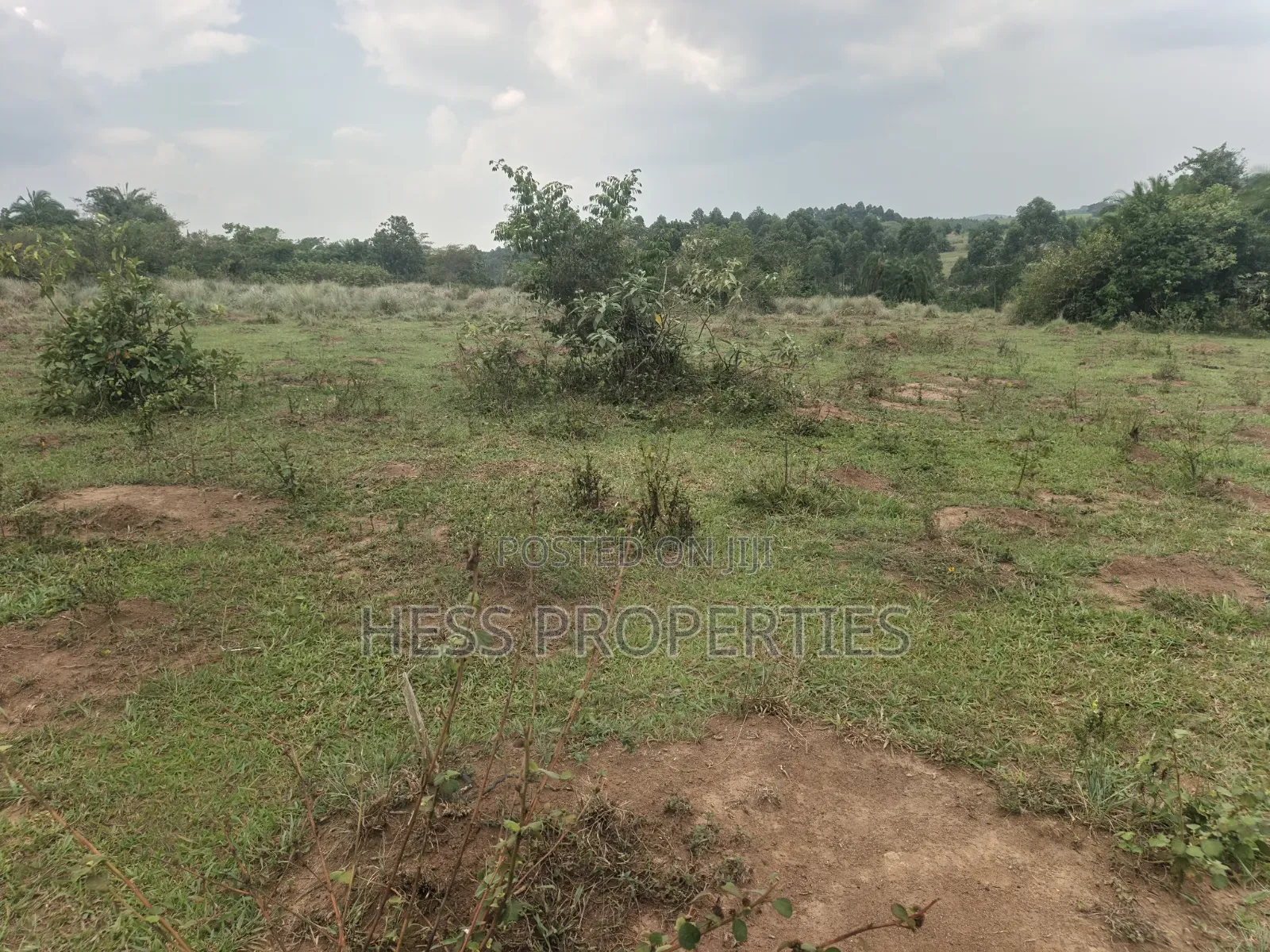 240acres of Land on Sale Located in Kyenjojo- Rweitengye