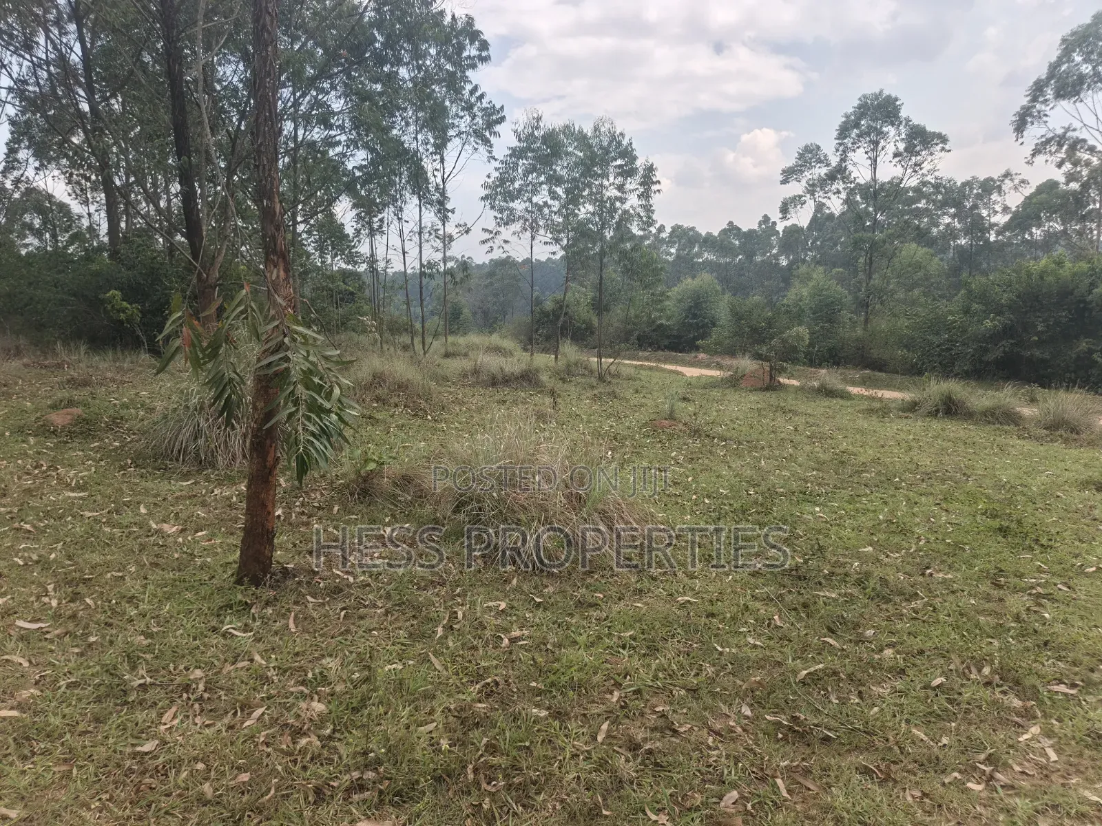 240acres of Land on Sale Located in Kyenjojo- Rweitengye