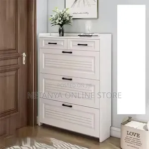 Flip Drawer Modern Shoe Cabinet