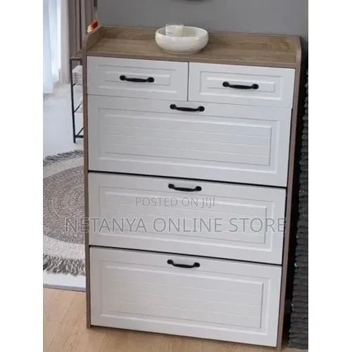 Flip Drawer Modern Shoe Cabinet