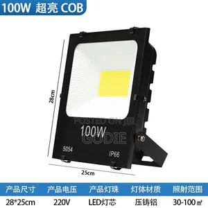 100W LED Flood Light Designed for Outdoor Security and Work Lighting.