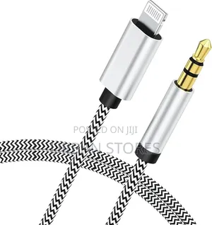 Lightning to 3.5mm Aux Audio Cable.