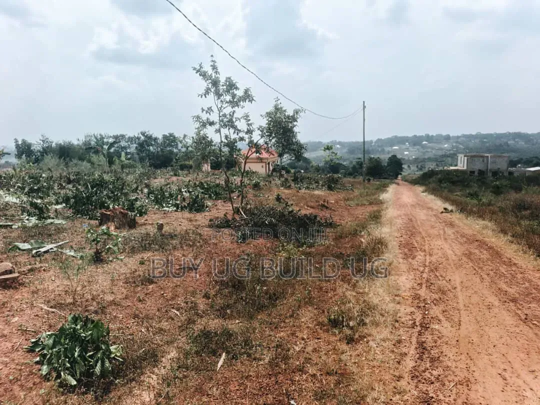 6 Prime Plots for Sale  Located at Gayaza_Dundu Along at 35m