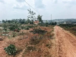6 Prime Plots for Sale  Located at Gayaza_Dundu Along at 35m