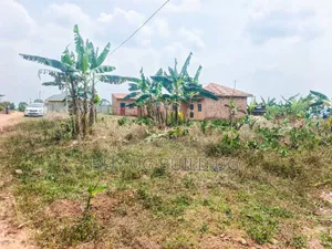 6 Prime Plots for Sale  Located at Gayaza_Dundu Along at 35m