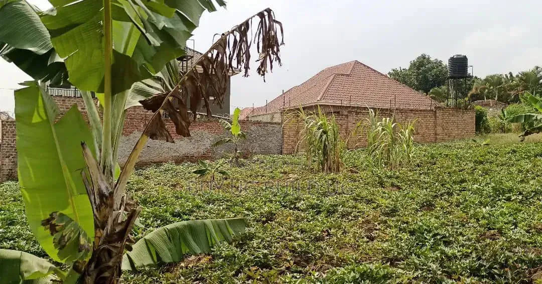 50 Decimals for Sale in Kira at 490m