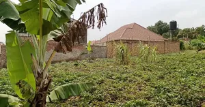 50 Decimals for Sale in Kira at 490m
