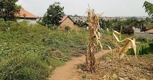 50 Decimals for Sale in Kira at 490m