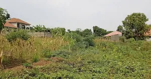 50 Decimals for Sale in Kira at 490m