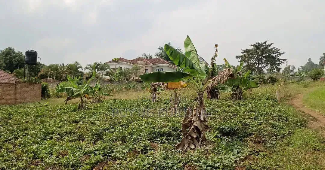 50 Decimals for Sale in Kira at 490m