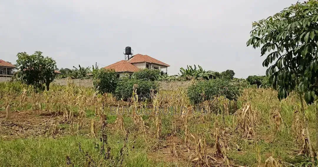 50 Decimals for Sale in Kira at 490m