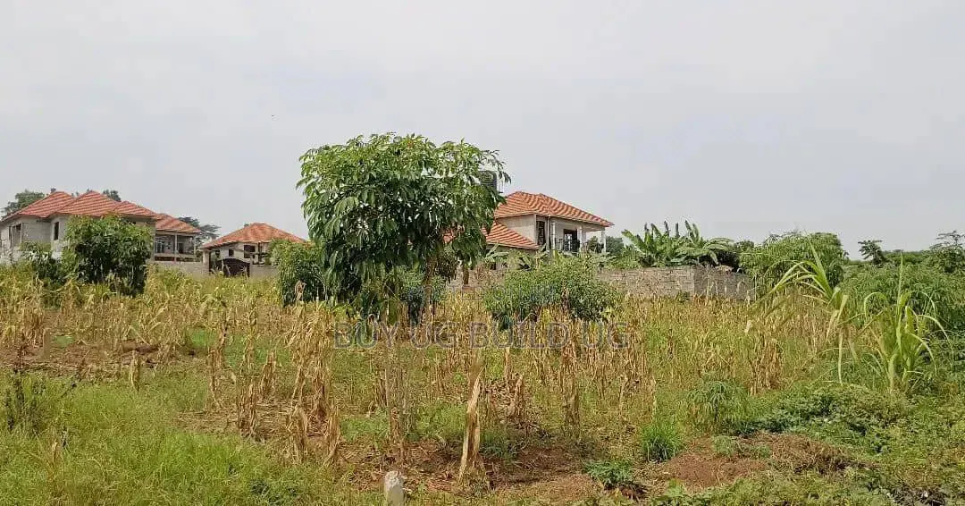 50 Decimals for Sale in Kira at 490m