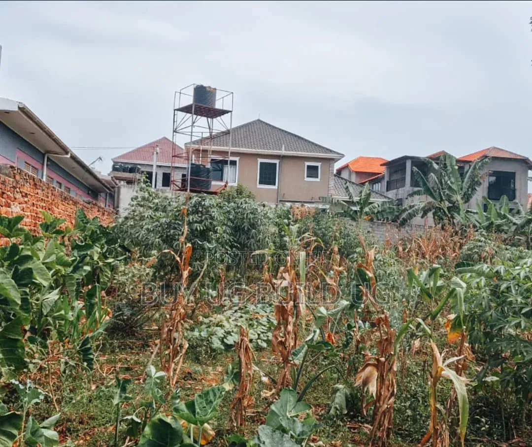 Quick Sale 50ft by 100 Ft Plot for Sale in Namugongo Joggo