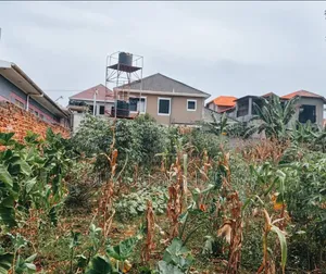 Quick Sale 50ft by 100 Ft Plot for Sale in Namugongo Joggo