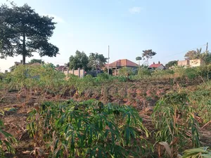 50ft by 100ft for Sale Namugongo- Namwezi Estates UGX 43M