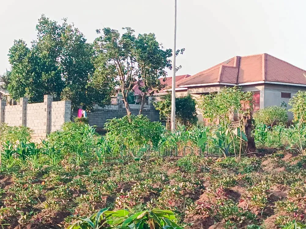 50ft by 100ft for Sale Namugongo- Namwezi Estates UGX 43M