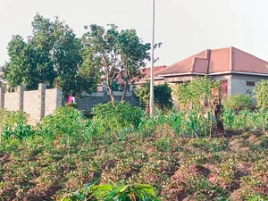 50ft by 100ft for Sale Namugongo- Namwezi Estates UGX 43M