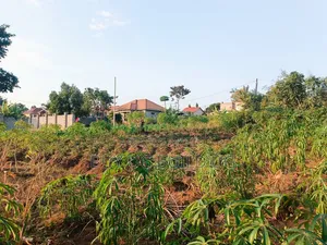 50ft by 100ft for Sale Namugongo- Namwezi Estates UGX 43M
