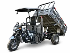 New Tricycle 2026 Gray