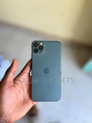 Apple iPhone 11 Pro Max 256 GB Gray