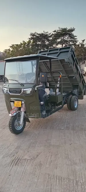 New Tricycle 2026 Gray