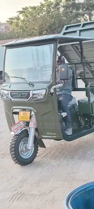 New Tricycle 2026 Gray