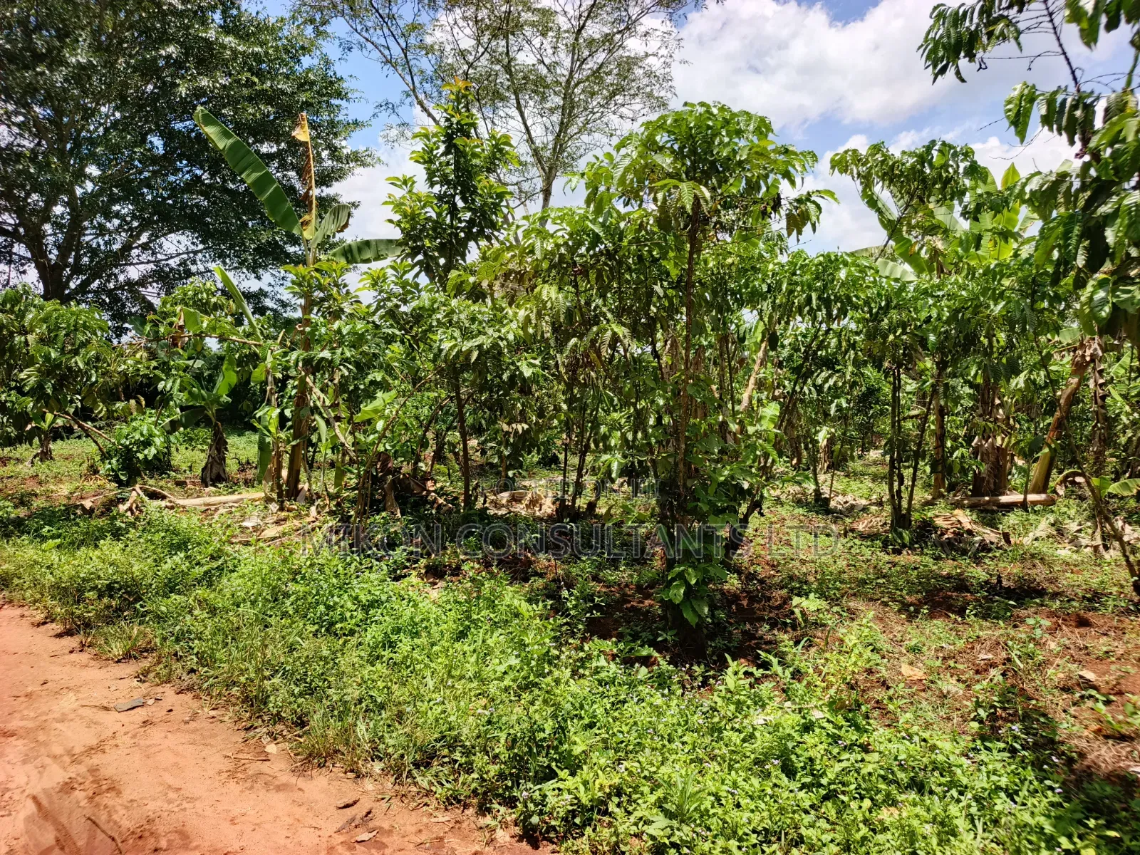 An Acre of Land on Sale in Bamunanika Luwero District