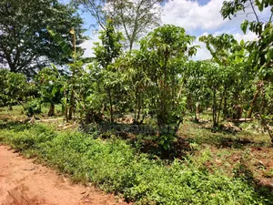 An Acre of Land on Sale in Bamunanika Luwero District