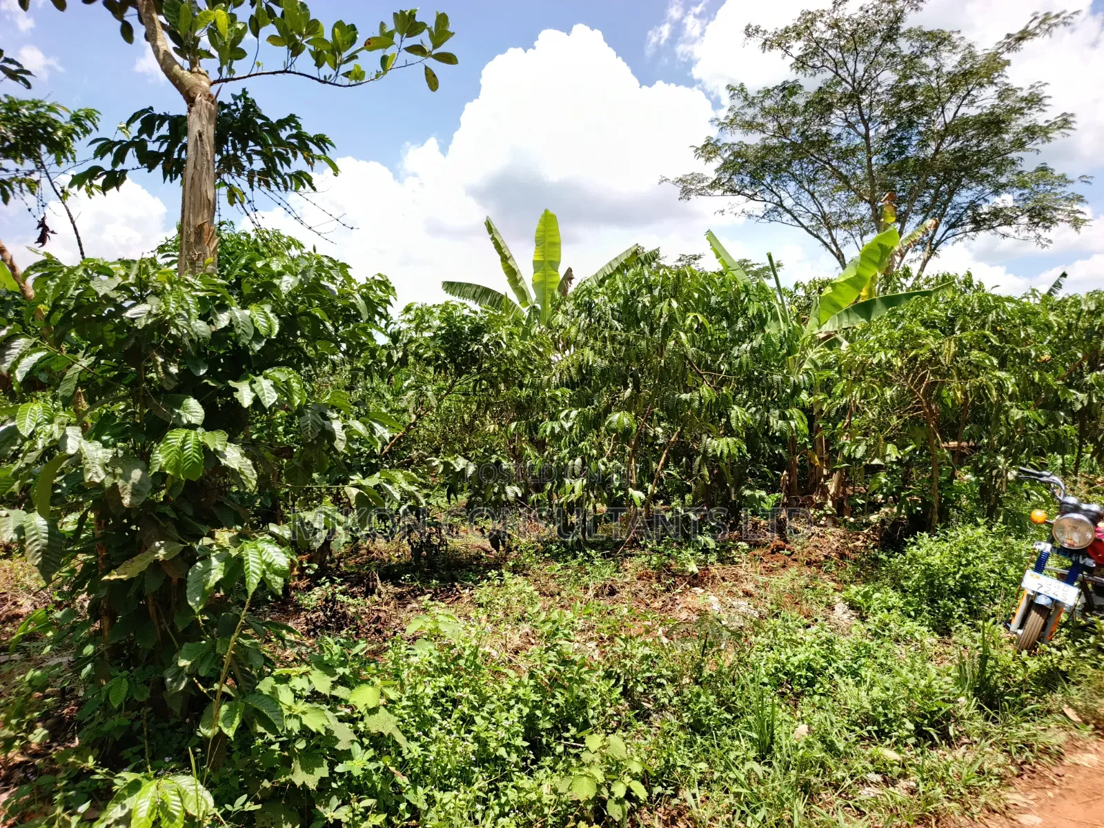 An Acre of Land on Sale in Bamunanika Luwero District
