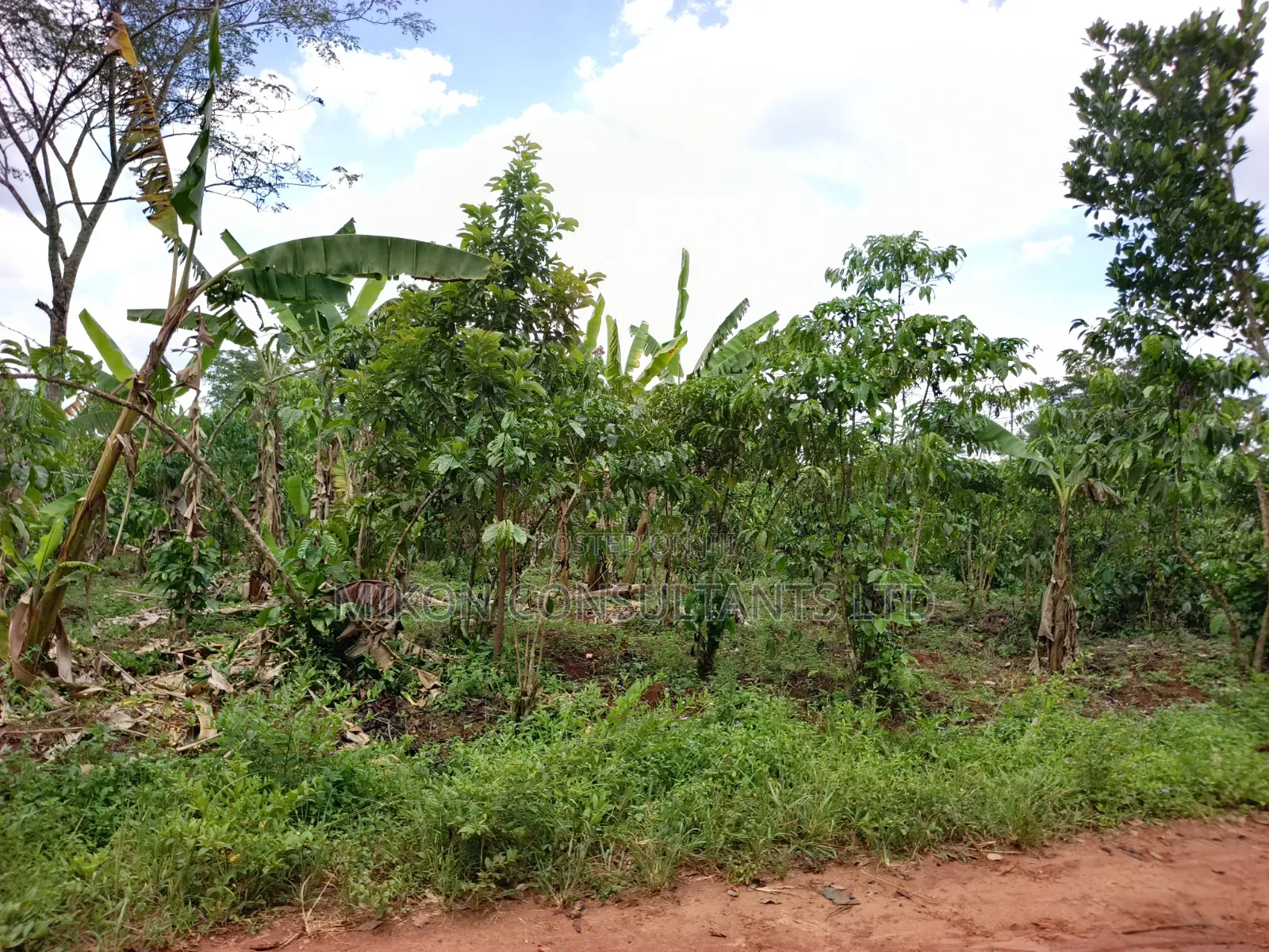 An Acre of Land on Sale in Bamunanika Luwero District