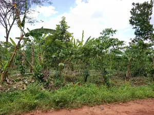 An Acre of Land on Sale in Bamunanika Luwero District