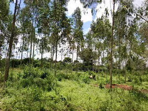30 Acres in Kimwanyi-Sekamuli Bamunanika on Sale
