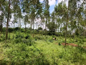 30 Acres in Kimwanyi-Sekamuli Bamunanika on Sale