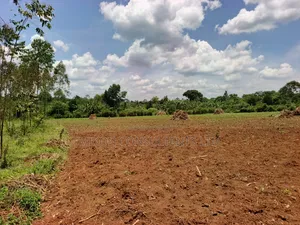 30 Acres in Kimwanyi-Sekamuli Bamunanika on Sale