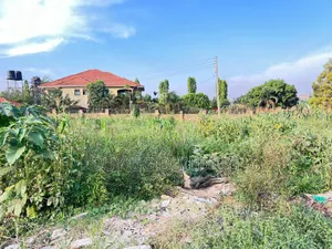 KIRA PLOT FOR SALE 50by100 With Title 65m