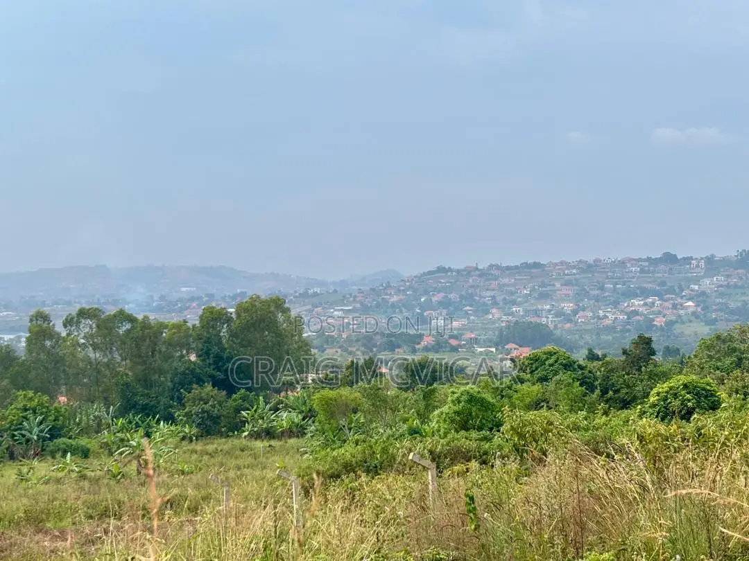Land for Sale – Wamala, Near Akright