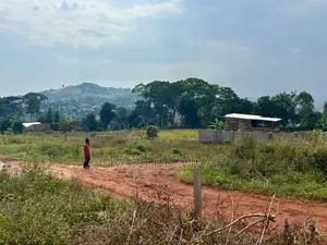 Land for Sale – Wamala, Near Akright