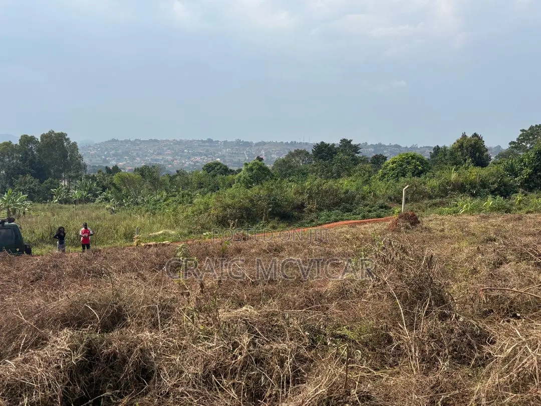 Land for Sale – Wamala, Near Akright